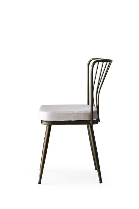 Hanah Home 985 V2 Juego de Sillas de Terciopelo Visón (2 Piezas) para Comedor o Salón, Altura Asiento 50 cm, 175 kg