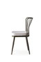 Hanah Home 985 V2 Juego de Sillas de Terciopelo Visón (2 Piezas) para Comedor o Salón, Altura Asiento 50 cm, 175 kg