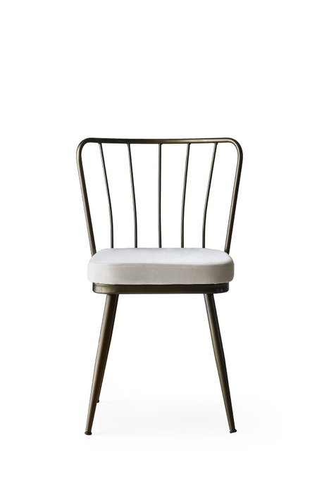 Hanah Home 985 V2 Juego de Sillas de Terciopelo Visón (2 Piezas) para Comedor o Salón, Altura Asiento 50 cm, 175 kg