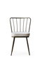 Hanah Home 985 V2 Juego de Sillas de Terciopelo Visón (2 Piezas) para Comedor o Salón, Altura Asiento 50 cm, 175 kg