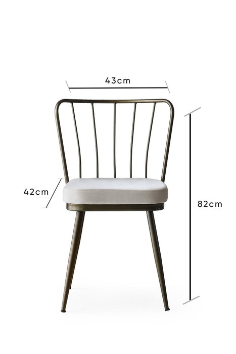 Hanah Home 985 V2 Juego de Sillas de Terciopelo Visón (2 Piezas) para Comedor o Salón, Altura Asiento 50 cm, 175 kg