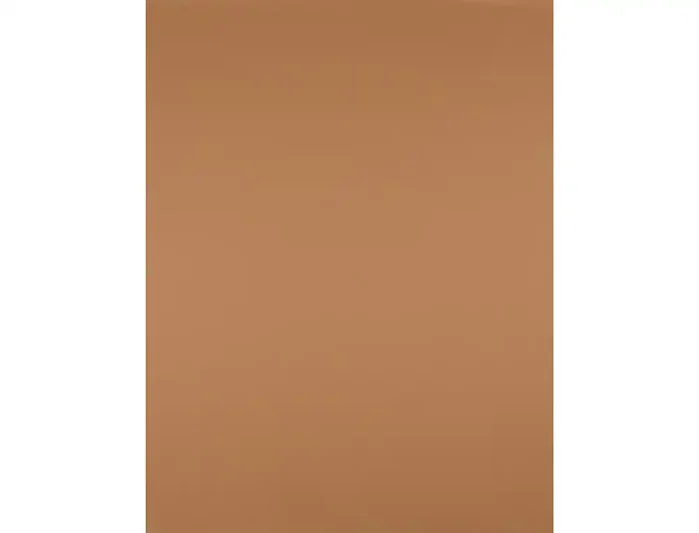 Liderpapel Cartulina Marrón Escolar 50x65 cm 180 g, 25 hojas