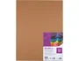 Liderpapel Cartulina 50x65 cm 180 gr Marron Escolar Paquete de 25 Hojas para Dibujo y Manualidades