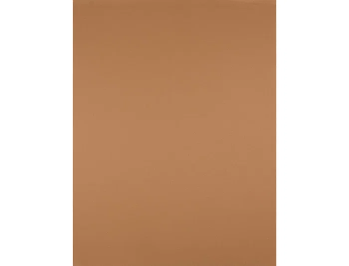 Liderpapel Cartulina 50x65 cm 180 gr Marron Escolar Paquete de 25 Hojas para Dibujo y Manualidades Liderpapel Cartulina 50x65 cm 180 gr Marron Escolar Paquete de 25 Hojas para Dibujo y Manualidades