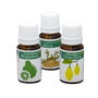PLANTIS Tea Tree Oil ECO 10ml