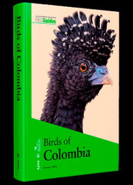 LYNX, Birds of Colombia - Steven L. Hilty