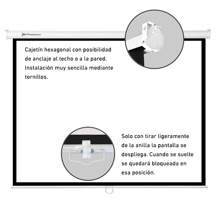 Phoenix Pantalla de Proyección Manual Plegable 169" (3x3 m) - Compatible 1:1, 4:3, 16:9, Superficie Blanca Mate para Pared y Techo