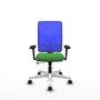 PIQUERAS Y CRESPO Silla de oficina Motilla con mecanismo Sincro/Traslack, Verde y Azul