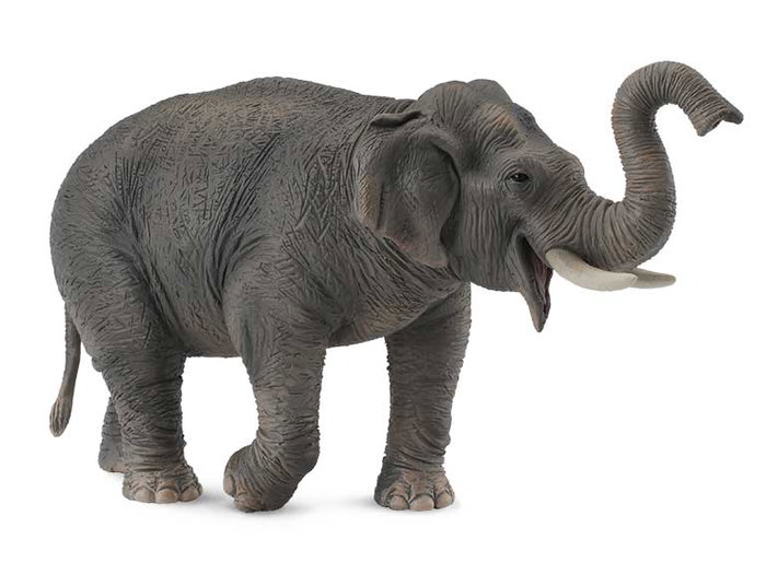Collecta Elefante Asiatico XL 88486 Replica a Escala Pintada a Mano Animales Salvajes Modelo de Alta Calidad +3 Años Collecta Elefante Asiatico XL 88486 Replica a Escala Pintada a Mano Animales Salvajes Modelo de Alta Calidad +3 Años