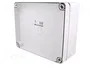 ELEKTRO-PLAST NASIELSK Carcasa Industrial Universal Gris IP65