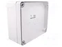 ELEKTRO-PLAST NASIELSK Carcasa Industrial Universal Gris IP65