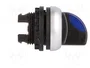EATON ELECTRIC Interruptor rotativo RMQ-Titan azul de 2 posiciones