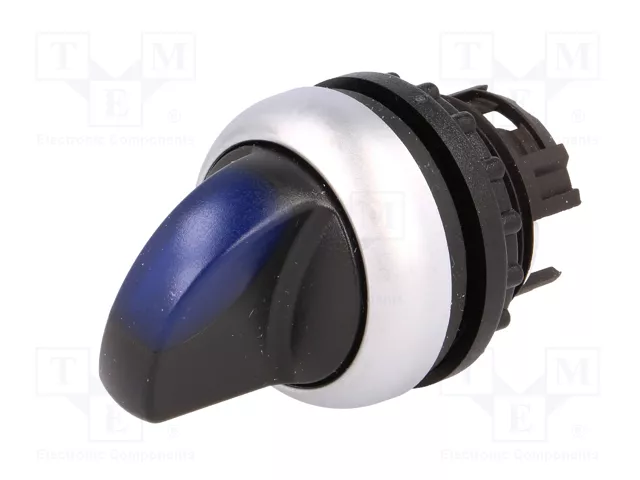 EATON ELECTRIC Interruptor rotativo RMQ-Titan azul de 2 posiciones