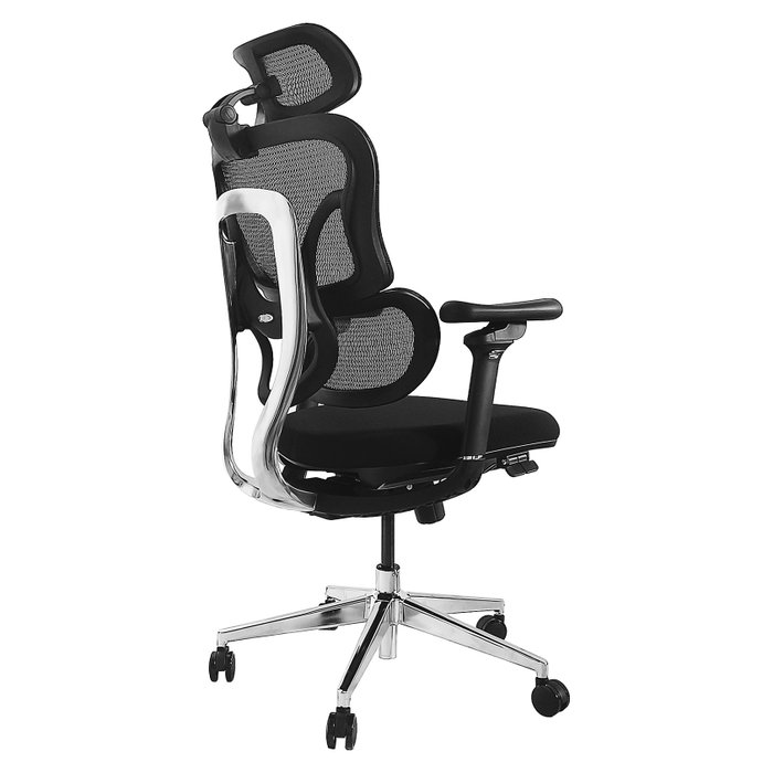 EQUIP Silla de oficina ergonómica 651053 con respaldo de malla y reposabrazos 3D EQUIP Silla de oficina ergonómica 651053 con respaldo de malla y reposabrazos 3D