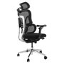 EQUIP Silla de oficina ergonómica 651053 con respaldo de malla y reposabrazos 3D