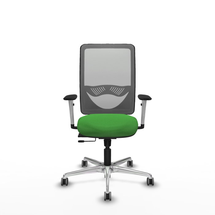 PIQUERAS Y CRESPO Silla de oficina Zulema Verde con mecanismo Sincro/Traslack PIQUERAS Y CRESPO Silla de oficina Zulema Verde con mecanismo Sincro/Traslack