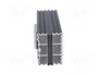 STEGO HG 140 Elemento Calefactor 100W 12-30V