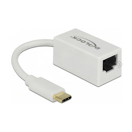 DeLOCK Adaptador USB Tipo C a Ethernet RJ45 Gigabit 1000 Mbit/s Blanco 65906 Compatible con Windows y Mac OS