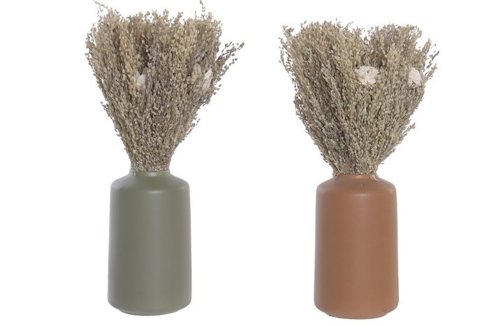 DKD Home Decor Planta Flor Seca Cerámica 12x12x30 (Surtido de 2 piezas) SKU B1HNLMZLZZ DKD Home Decor Planta Flor Seca Cerámica 12x12x30 (Surtido de 2 piezas) SKU B1HNLMZLZZ