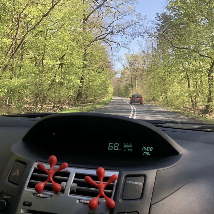 Ambientador para Coche Dr Marcus Lucky Top Frutos rojos Plástico Colgante (12 Unidades)