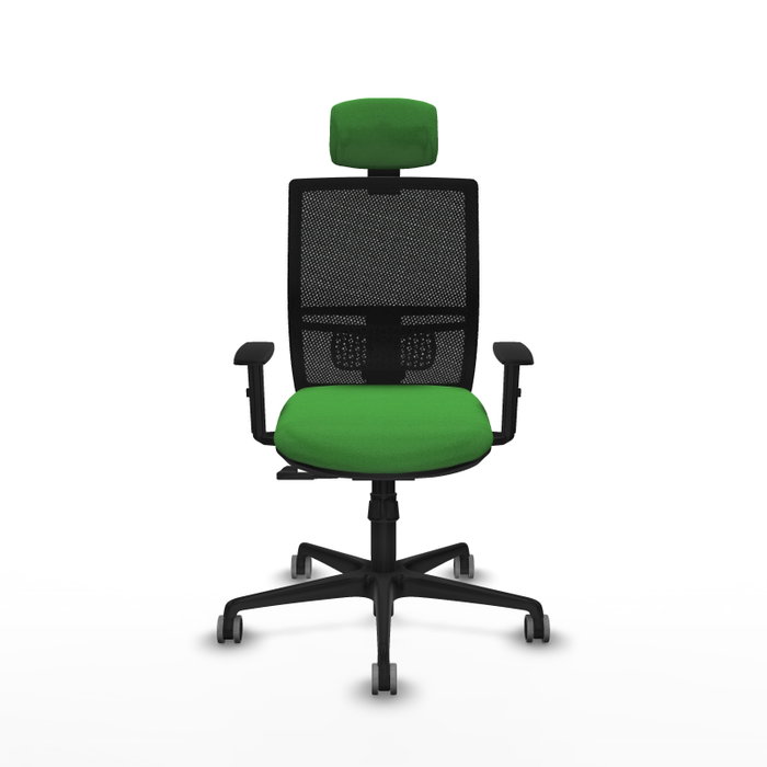 PIQUERAS Y CRESPO Silla de oficina Yunquera con mecanismo Sincro, Tela Verde y Malla Negra