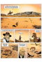 Yermo Ediciones Y Publicaciones, S.L. Pioneros del Nuevo Mundo 3: El susurro de los grandes árboles (Integral)