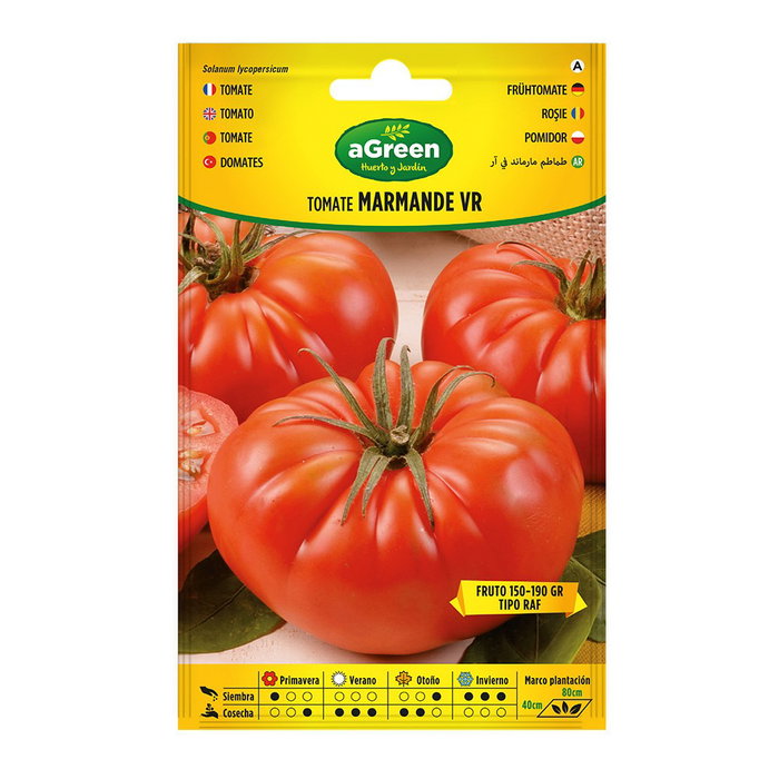 Agreen Sobre con semillas de tomate Marmande VR Holanda Agreen Sobre con semillas de tomate Marmande VR Holanda