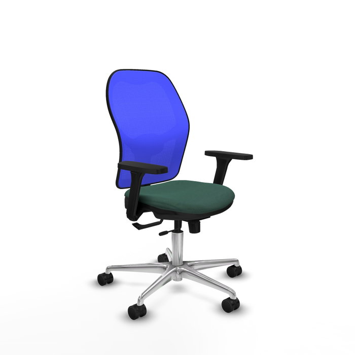 PIQUERAS Y CRESPO Silla de oficina Jorquera con mecanismo Sincro/Traslack, Tela Verde botella y Malla Azul PIQUERAS Y CRESPO Silla de oficina Jorquera con mecanismo Sincro/Traslack, Tela Verde botella y Malla Azul