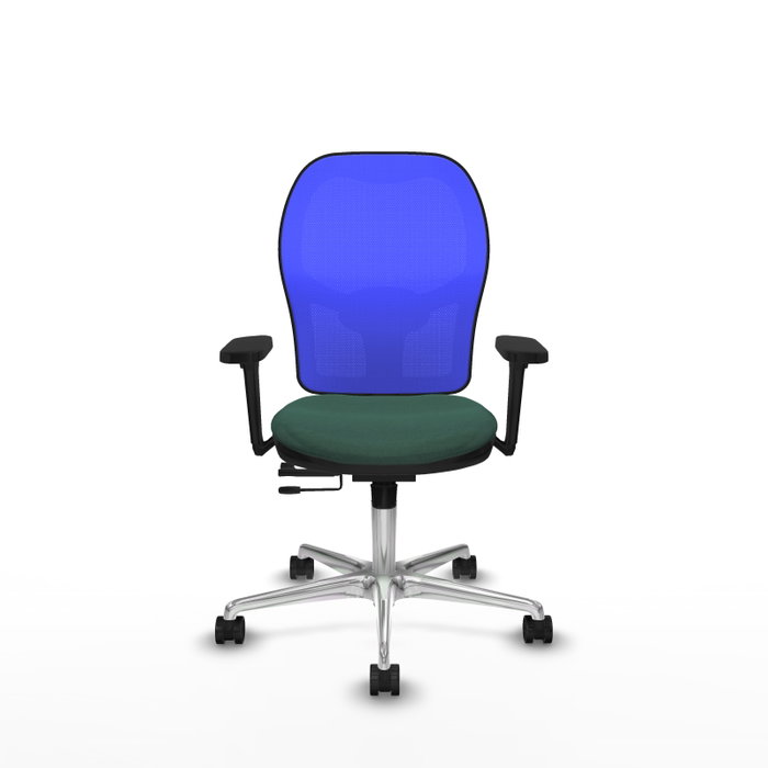 PIQUERAS Y CRESPO Silla de oficina Jorquera con mecanismo Sincro/Traslack, Tela Verde botella y Malla Azul PIQUERAS Y CRESPO Silla de oficina Jorquera con mecanismo Sincro/Traslack, Tela Verde botella y Malla Azul