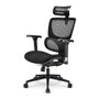 SHARKOON Sharkoon OfficePal C40 Negro