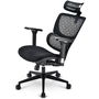 Sharkoon C40 Silla de Oficina Negra con Asiento Acolchado y Respaldo de Malla Ajustable