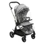 Chicco CHI8058664158256 Cochecito compacto urbano One4Ever Silverleaf Unisex, apto desde el nacimiento, color gris.