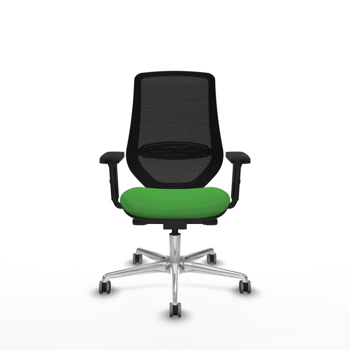 PIQUERAS Y CRESPO Silla de oficina Mardos con mecanismo Sincro/Traslack Verde y Negro PIQUERAS Y CRESPO Silla de oficina Mardos con mecanismo Sincro/Traslack Verde y Negro