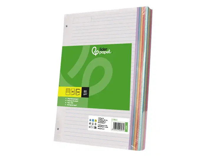 Liderpapel Recambio A5 120 hojas 80gr horizontal sin margen 6 taladros bandas de 5 colores Liderpapel Recambio A5 120 hojas 80gr horizontal sin margen 6 taladros bandas de 5 colores