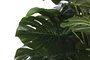 DKD Home Decor Planta Monstera Verde