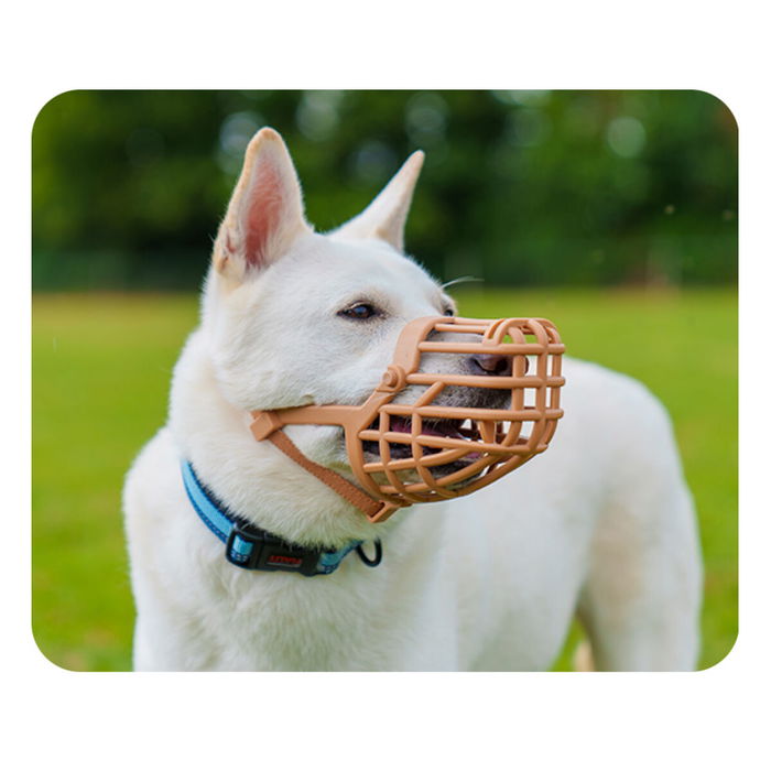 Company Of Animals Bozal Baskerville Classic Basket Talla 6 para Evitar Comer o Lamerse Heridas