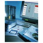 LEITZ Etiquetas para archivadores de 5 cm de ancho (34,0 x 279,0 mm)