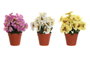 DKD Home Decor Planta Poliéster Flor Mariposa Surtida 15x15x20 cm