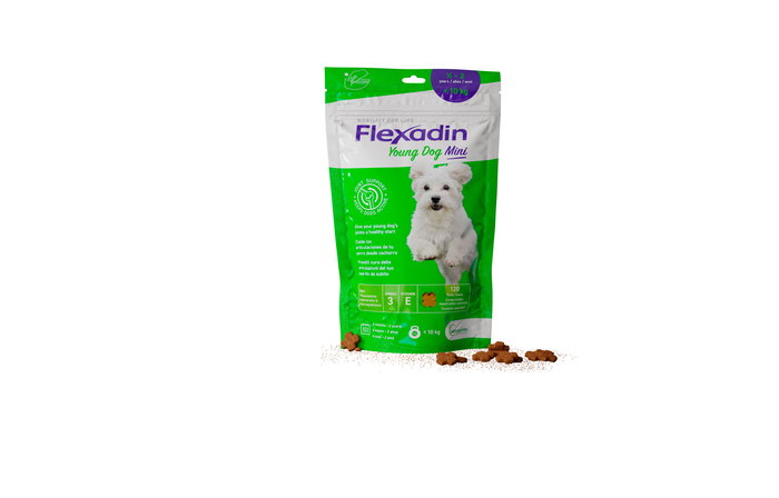 Vetoquinol Flexadin Young Dog Mini Condroprotector para Articulaciones 60 Chuches Vetoquinol Flexadin Young Dog Mini Condroprotector para Articulaciones 60 Chuches