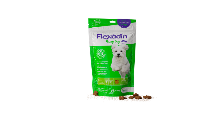 Vetoquinol Flexadin Young Dog Mini Condroprotector para Articulaciones 60 Chuches Vetoquinol Flexadin Young Dog Mini Condroprotector para Articulaciones 60 Chuches