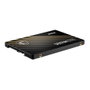 MSI Spatium S270 960 GB 2.5 SATA III
