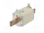 ETI POLAM Fusible NH1 de Cartucho Cerámico Industrial 50A 690VAC aM