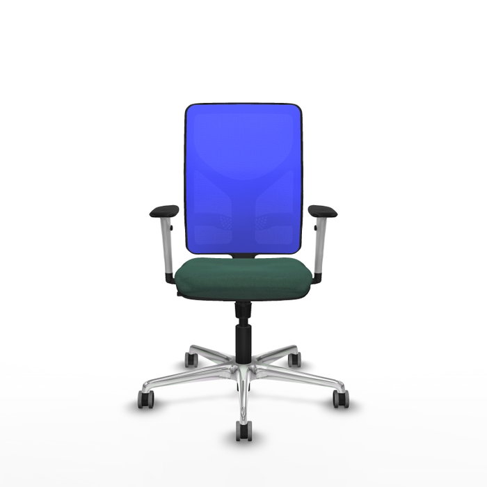 PIQUERAS Y CRESPO Silla de oficina Motilla con mecanismo Sincro, Verde botella y Azul