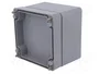 FIBOX EURONORD Carcasa Universal Gris IP66