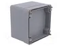 FIBOX EURONORD Carcasa Universal Gris IP66