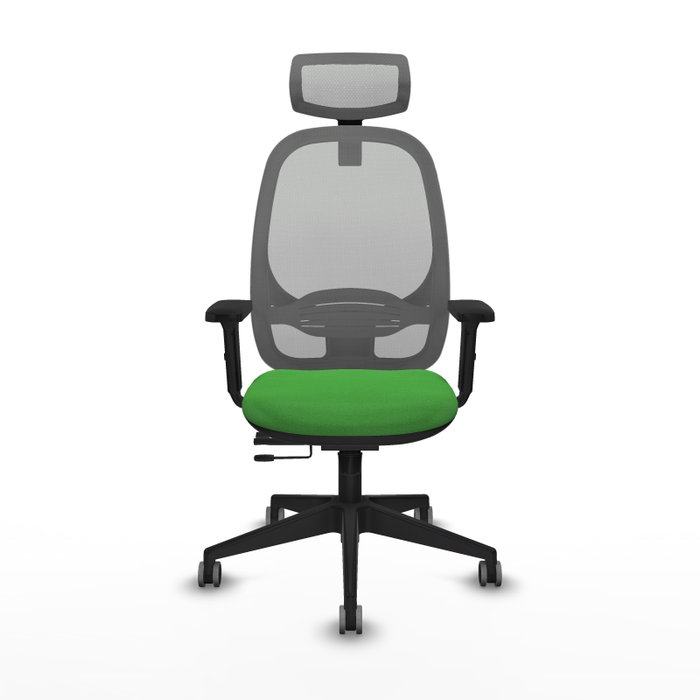 PIQUERAS Y CRESPO Silla de oficina Cilanco con mecanismo Sincro/Traslack, Verde y Gris PIQUERAS Y CRESPO Silla de oficina Cilanco con mecanismo Sincro/Traslack, Verde y Gris
