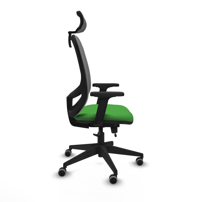 PIQUERAS Y CRESPO Silla de oficina Cilanco con mecanismo Sincro/Traslack, Verde y Gris PIQUERAS Y CRESPO Silla de oficina Cilanco con mecanismo Sincro/Traslack, Verde y Gris