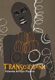 TRANScaribeñX, Yolanda Arroyo Pizarro - EGALES S.L.