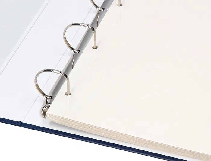 Liderpapel Álbum de Fotos Serie Classic con Anillas y 20 Hojas Autoadhesivas, Color Azul