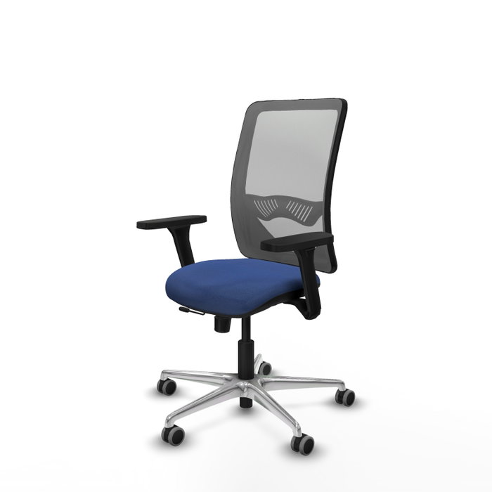 PIQUERAS Y CRESPO Silla de oficina Zulema con mecanismo Sincro/Traslack, Azul marino y Gris PIQUERAS Y CRESPO Silla de oficina Zulema con mecanismo Sincro/Traslack, Azul marino y Gris